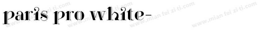 paris pro white字体转换